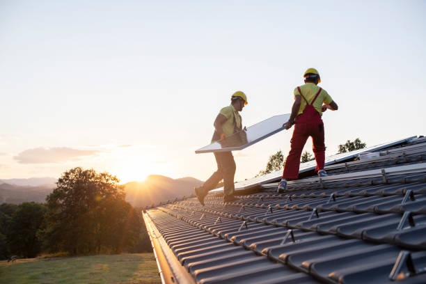 Best Roof Moss and Algae Removal  in Fruitdale, CA