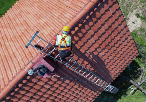 Best Skylight Installation and Repair  in Fruitdale, CA